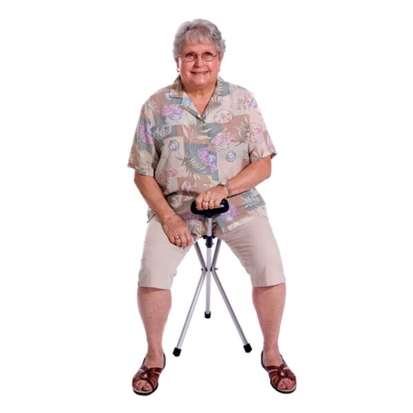 SILLA PLEGABLE CON APOYO - Imagen 3