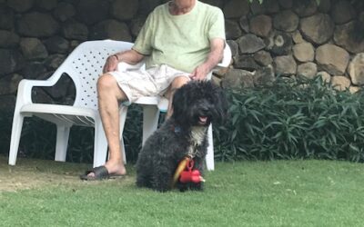 El mejor compañero: El perro y su magia en la vida de un adulto mayor.